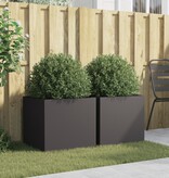VidaXL Plantenbakken 2 st 49x47x46 cm staal zwart