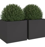 VidaXL Plantenbakken 2 st 49x47x46 cm staal zwart