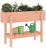 VidaXL Plantenbak verhoogd 101x30x69 cm massief douglashout