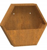 VidaXL Plantenbakken wandmontage 2 st 46x10x40 cm cortenstaal roestig