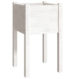 VidaXL Plantenbak 40x40x70 cm massief grenenhout wit