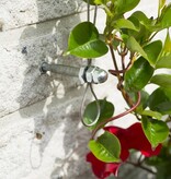 Spandraadsysteem voor klimplanten 6040760