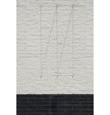 Spandraadsysteem voor klimplanten 6040760