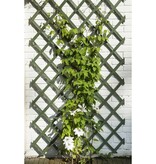 Tuinlatwerk 50x150 cm hout groen