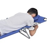 VidaXL Ligbed inklapbaar met hoofdkussen gepoedercoat staal blauw