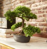 VidaXL Kunstplant mini bonsai ficus groen 32 cm 420002