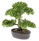 VidaXL Kunstplant mini bonsai ficus groen 32 cm 420002