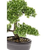 VidaXL Kunstplant mini bonsai ficus groen 32 cm 420002