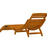 vidaXL Ligstoelen 2 stuks van Massief Acaciahout