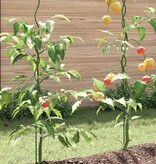 vidaXL Spiraal Plantsteunen 5 stuks 150 cm Staal