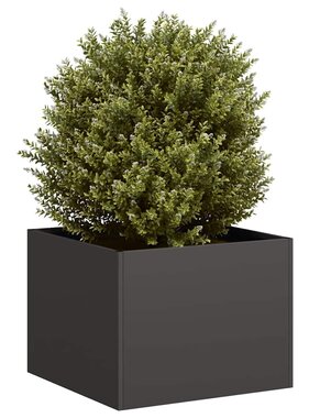 VidaXL Plantenbak 40x40x30 cm staal zwart