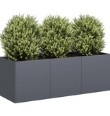 VidaXL Plantenbak 120x40x40 cm koudgewalst staal antracietkleurig
