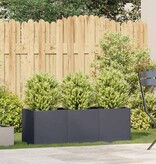 VidaXL Plantenbak 120x40x40 cm koudgewalst staal antracietkleurig