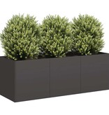 VidaXL Plantenbak 120x40x40 cm koudgewalst staal zwart
