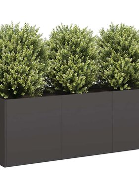 VidaXL Plantenbak 120x40x40 cm koudgewalst staal zwart