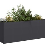 VidaXL Plantenbak 200x40x80 cm koudgewalst staal zwart