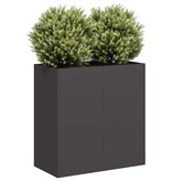 VidaXL Plantenbak 80x40x80 cm koudgewalst staal zwart