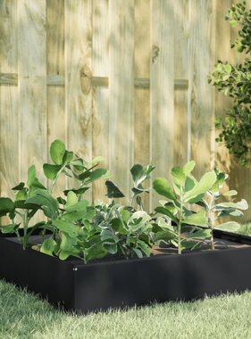 VidaXL Plantenbak verhoogd 100x100x33,5 cm staal zwart
