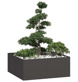 VidaXL Plantenbak 100x100x40 cm staal zwart