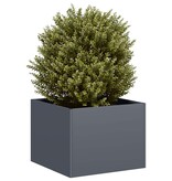 Plantenbak 40x40x30 cm staal antracietkleurig