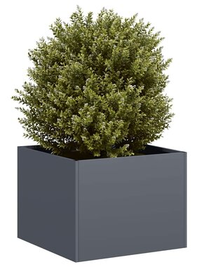 Plantenbak 40x40x30 cm staal antracietkleurig