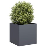 VidaXL Plantenbak 40x40x40 cm koudgewalst staal antracietkleurig