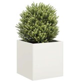 VidaXL Plantenbak 40x40x40 cm koudgewalst staal wit