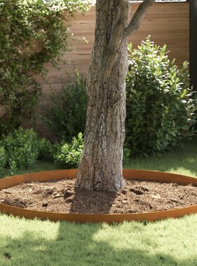 VidaXL Tuin Grasperkafwerking Roestig 450 x 15 cm Cortenstaal