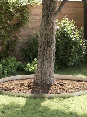 VidaXL Tuin Grasperkafwerking Zilver 450 x 15 cm Roestvrij staal