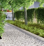 VidaXL Tuin Grasperkafwerking Zilver 450 x 15 cm Roestvrij staal