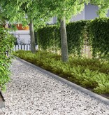 VidaXL Tuin Grasperkafwerking 4 pcs Zilver 450 x 10 cm