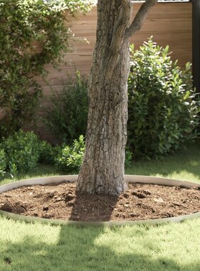 VidaXL Tuin Grasperkafwerking Zilver 450 x 10 cm Roestvrij staal