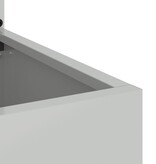 VidaXL Tuinplant met Decoratief Paneel Zilver 50 x 140 cm