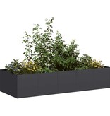 VidaXL Plantenbak 200x80x40 cm staal zwart