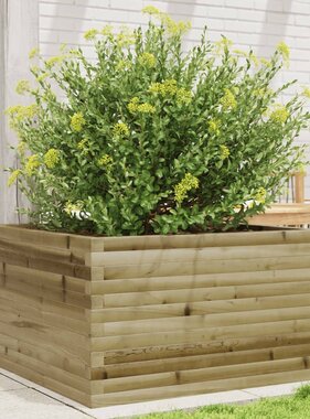 VidaXL Plantenbak 80x80x45,5 cm geïmpregneerd grenenhout