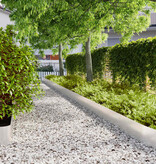 VidaXL Gazonranden 30 st 20x103 cm roestvrij staal