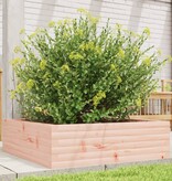 VidaXL Plantenbak 80x80x23 cm massief douglashout