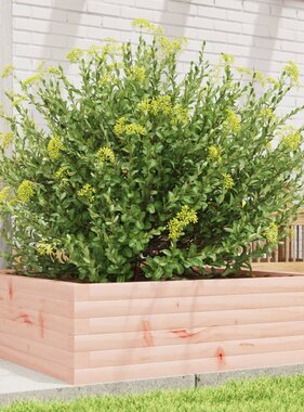 VidaXL Plantenbak 80x80x23 cm massief douglashout