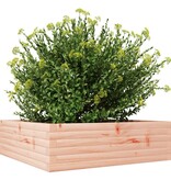 VidaXL Plantenbak 80x80x23 cm massief douglashout