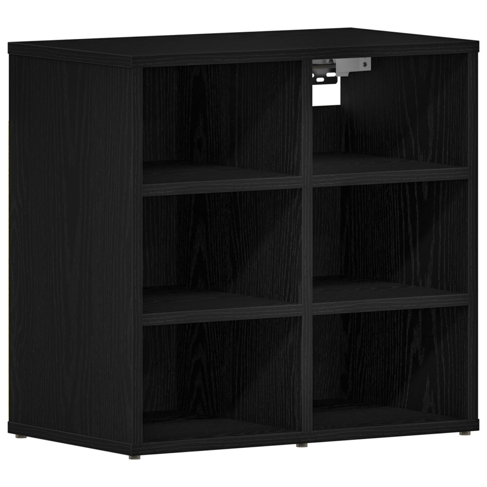vidaXL Zwart Eiken Schoenkast - 52,5 x 30 x 50 cm