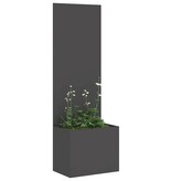VidaXL Tuinplant met Decoratief Paneel Zwart 50 x 140 cm