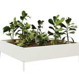VidaXL Plantenbak verhoogd 100x100x33,5 cm staal wit