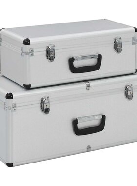 VidaXL Opbergkoffers 2 st aluminium zilverkleurig