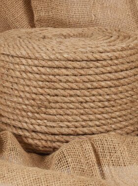 VidaXL Touw 100% jute 10 mm 100 m