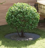 VidaXL Platte Boomringen 5 pcs Antraciet Ø60 / 90 cm Staal