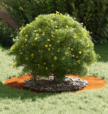 VidaXL Platte Boomringen 5 pcs Bruin Ø50 / 80 cm Cortenstaal