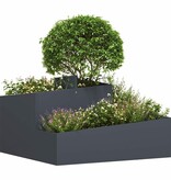 VidaXL Tuin Bloempot Antraciet 80 x 80 x 50 cm Koudgewalst staal