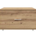 VidaXL Ladenkast met wiel Bruin 55 x 45 x 33.5 cm Bewerkt hout
