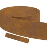 VidaXL Tuin Grasperkafwerking Roestig 450 x 20 cm Cortenstaal