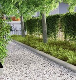 VidaXL Tuin Grasperkafwerking Zilver 450 x 15 cm Gegalvaniseerd staal